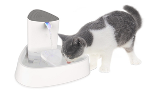 O1CN01MOYBPN1tOaEWbDIbG_!!2-item_pic.png_300x300q90.jpg O1CN01MOYBPN1tOaEWbDIbG_!!2-item_pic.png_300x300q90.jpg